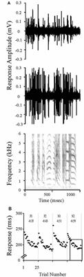 HDAC3 Inhibitor RGFP966 Modulates Neuronal Memory for Vocal Communication Signals in a Songbird Model